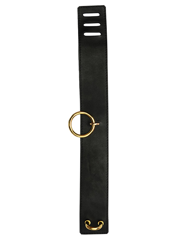 2 inch leather collar with Gold fittings bon155 9